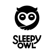 Sleepy Owl